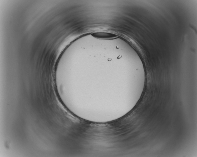 X0000101981432200808081603