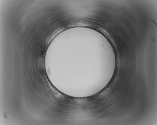 X0000101981433200808081603