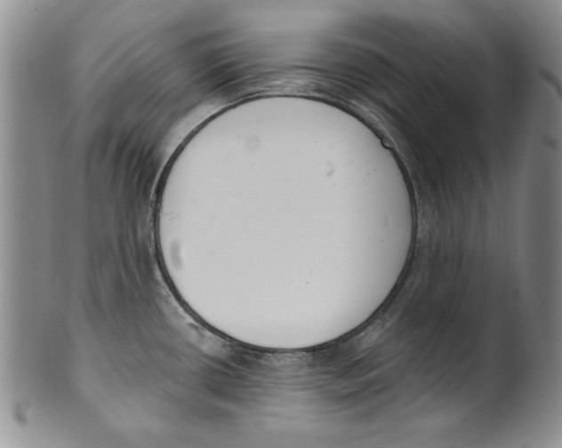 X0000101981434200808081603