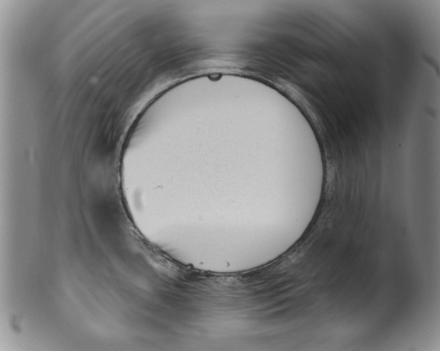 X0000101981435200808081603