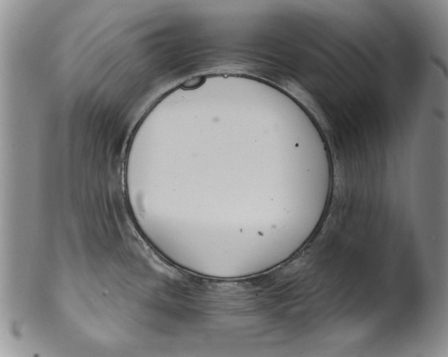 X0000101981436200808081603