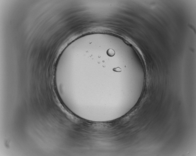 X0000101981437200808081603