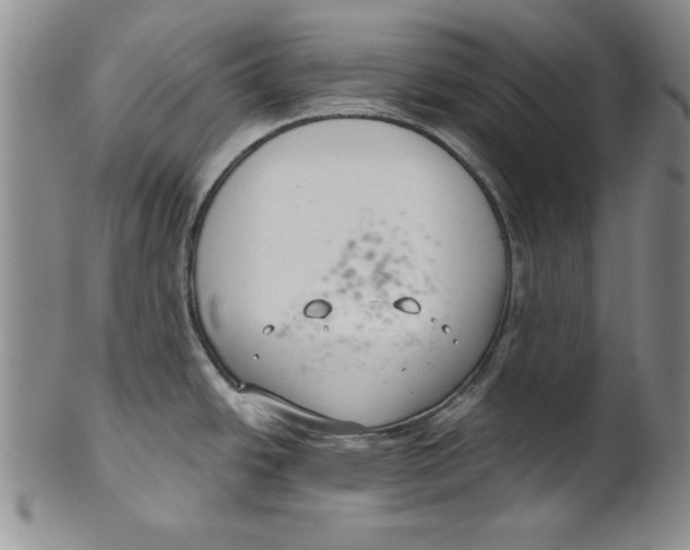 X0000101981438200808081603