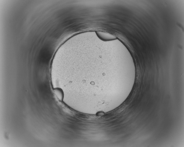 X0000101981439200808081603