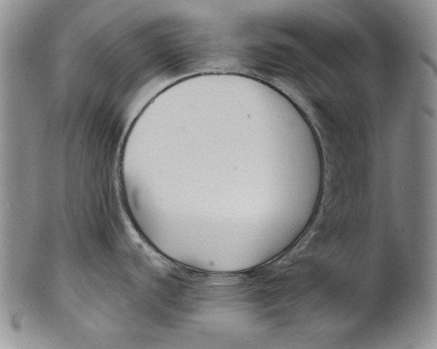 X0000101981440200808081603