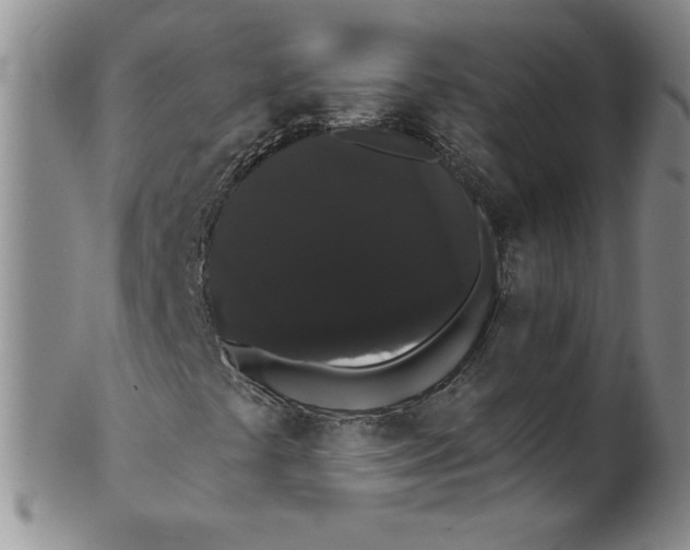 X0000101981441200808081603