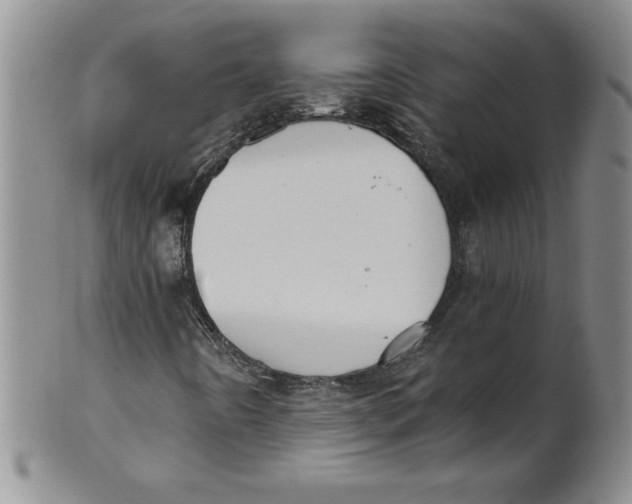 X0000101981442200808081603