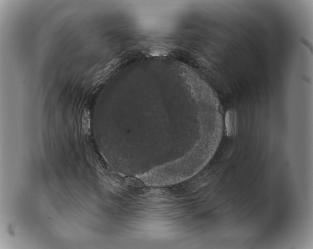 X0000101981443200808081603