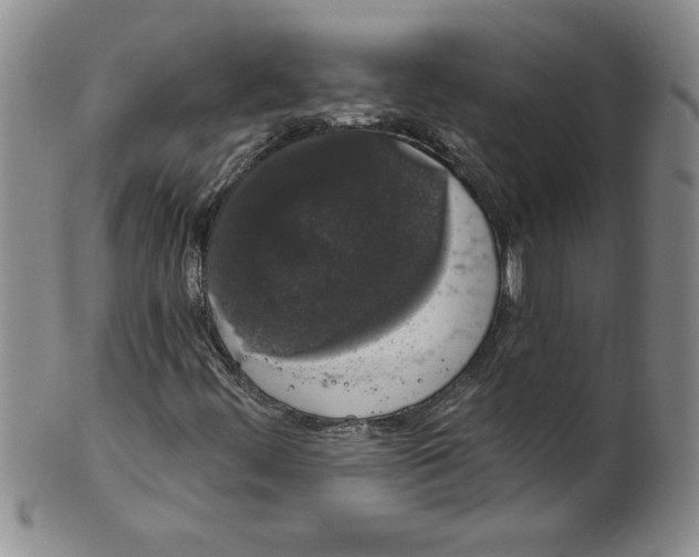 X0000101981444200808081603