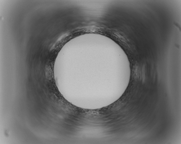 X0000101981446200808081603