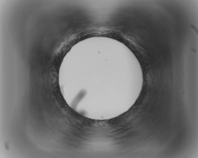 X0000101981447200808081603