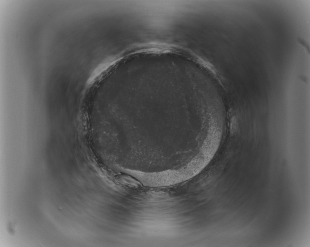 X0000101981448200808081603