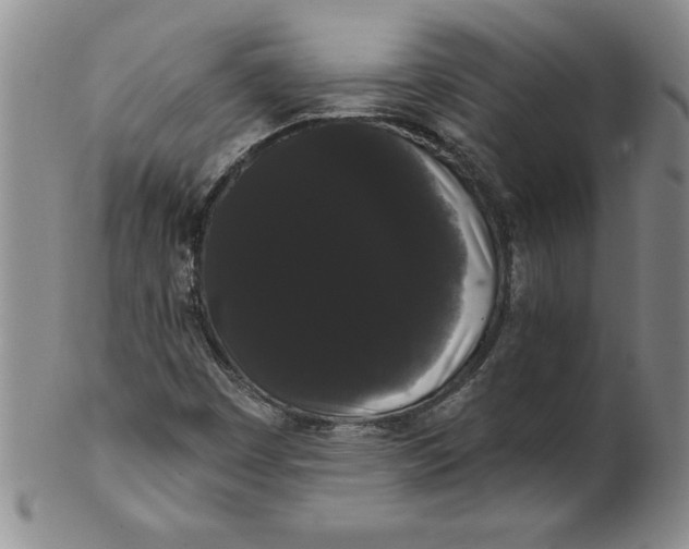 X0000101981449200808081603