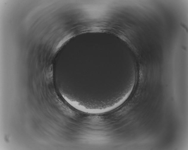 X0000101981450200808081603