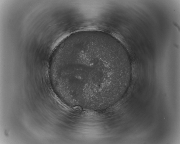 X0000101981452200808081603