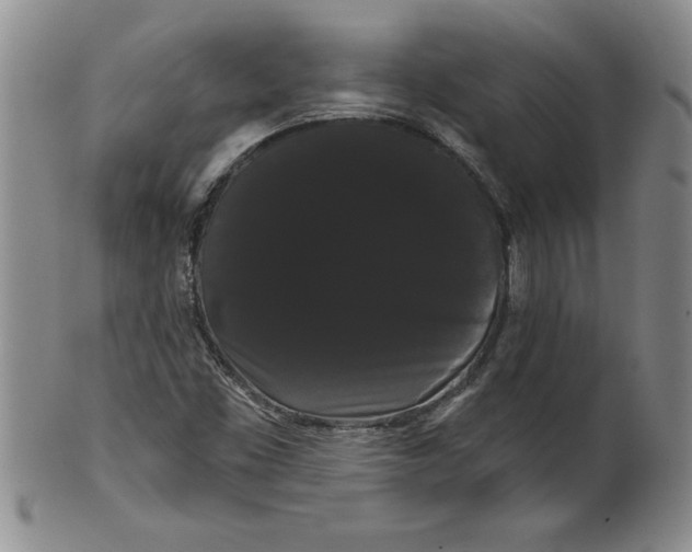 X0000101981453200808081603