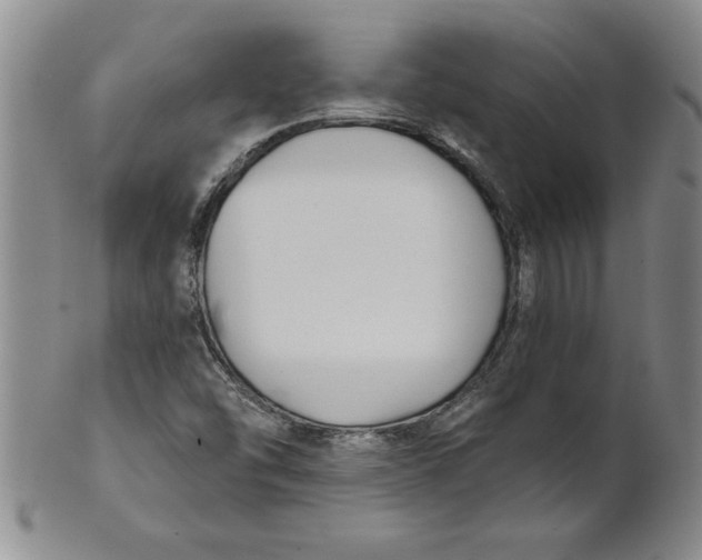 X0000101981454200808081603