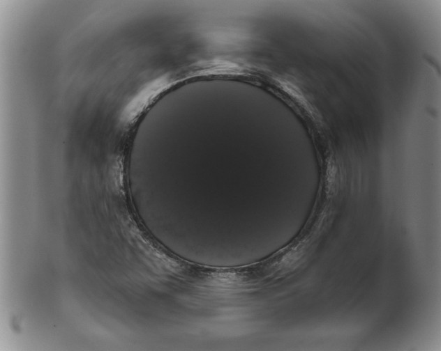 X0000101981455200808081603