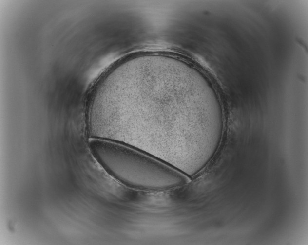 X0000101981456200808081602