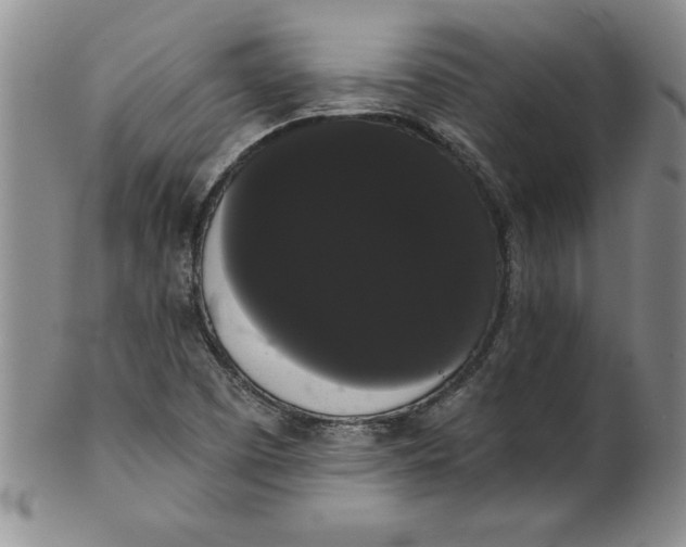 X0000101981457200808081602