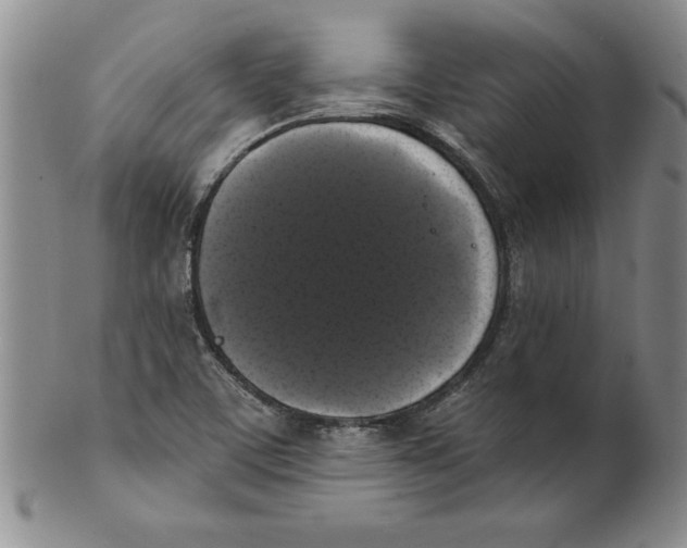 X0000101981459200808081602