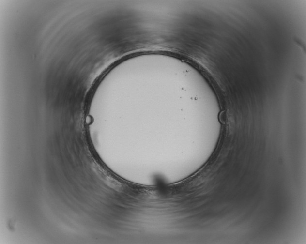 X0000101981460200808081602