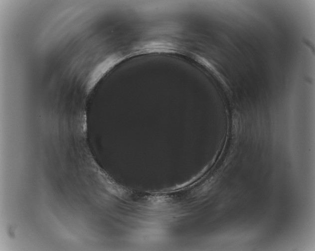 X0000101981461200808081602