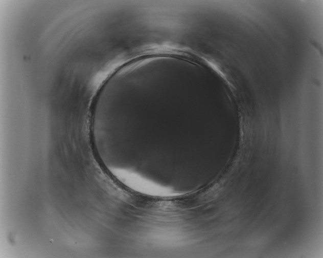 X0000101981463200808081602