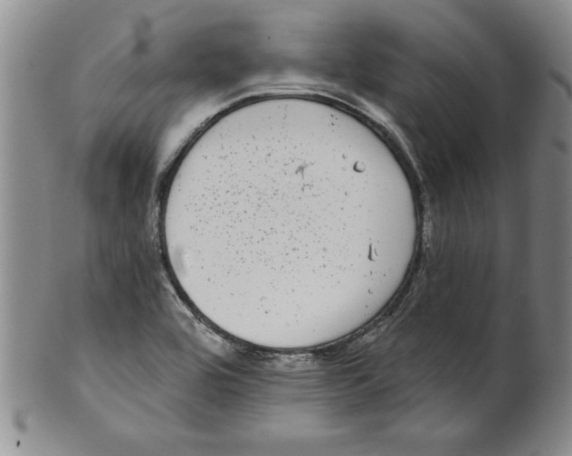 X0000101981464200808081602