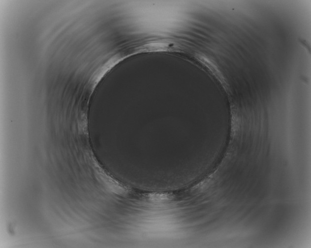 X0000101981465200808081602