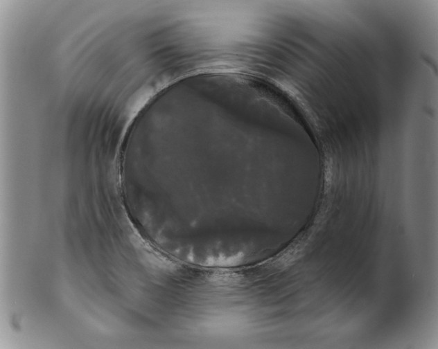 X0000101981466200808081602