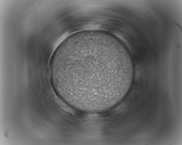 X0000101981467200808081602