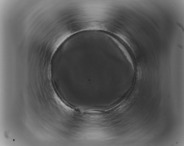 X0000101981468200808081602