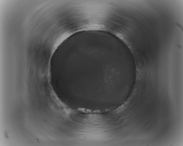 X0000101981469200808081602