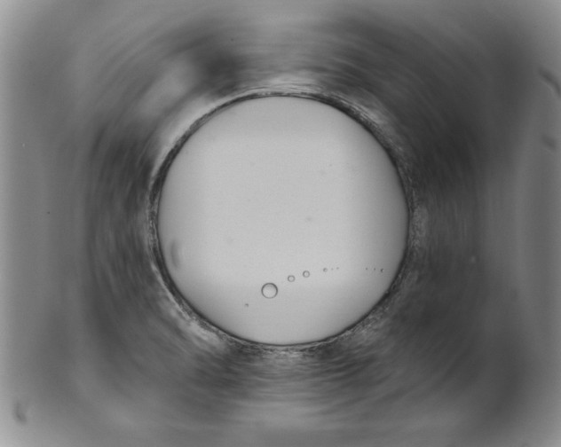 X0000101981470200808081602