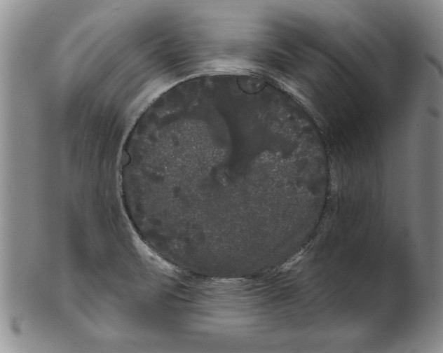 X0000101981471200808081602