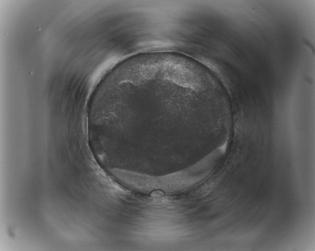 X0000101981472200808081602