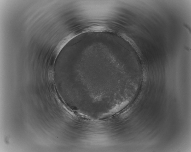 X0000101981473200808081602