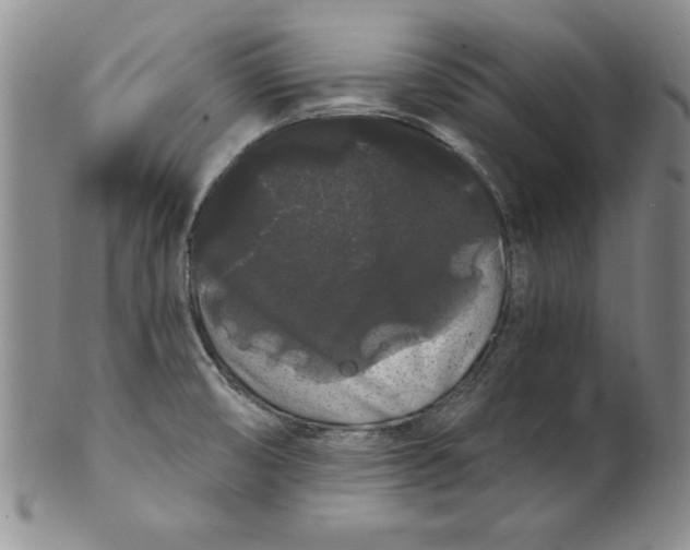 X0000101981474200808081602