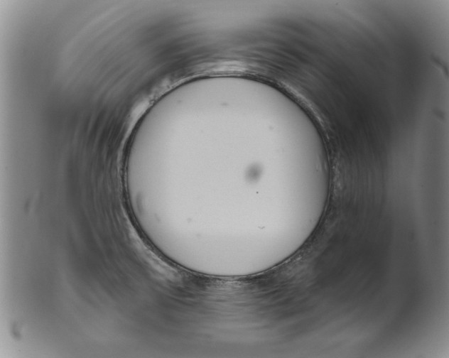 X0000101981475200808081602