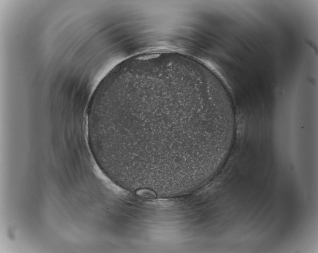 X0000101981476200808081602