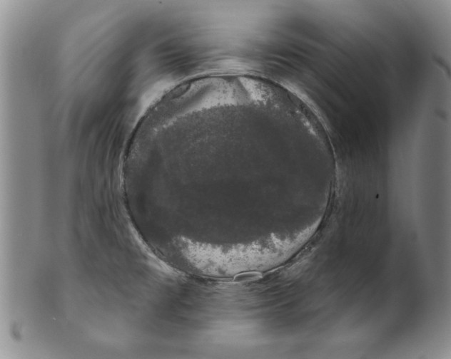 X0000101981477200808081602