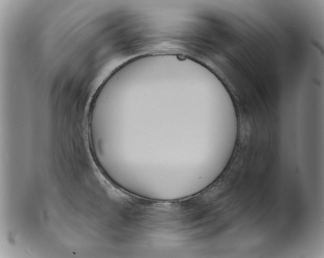 X0000101981478200808081602