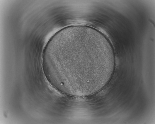 X0000101981480200808081602