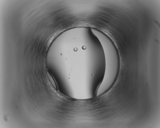 X0000101981481200808081602