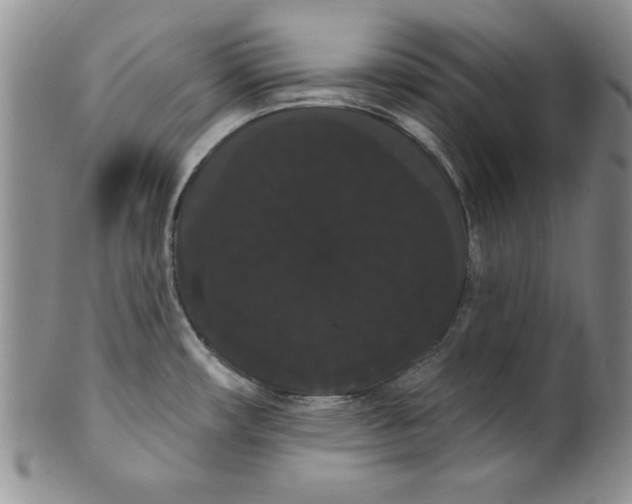 X0000101981482200808081602