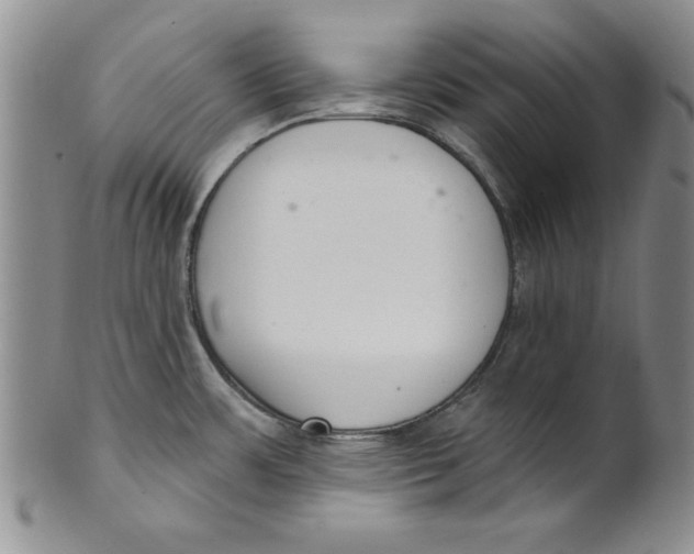 X0000101981483200808081602