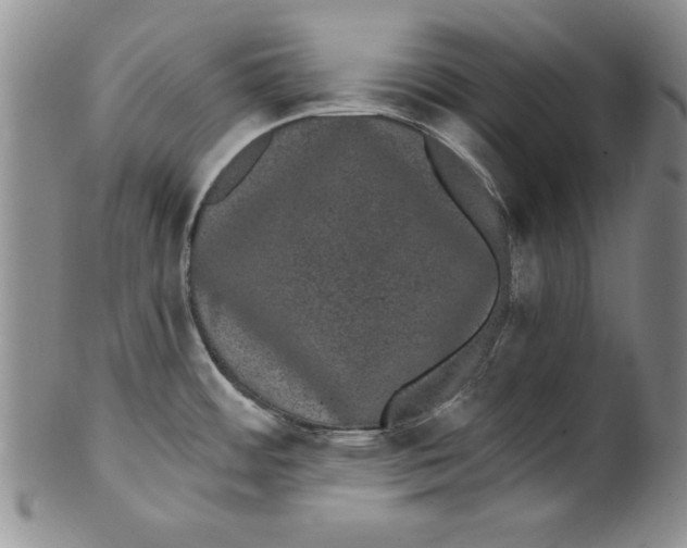 X0000101981484200808081602