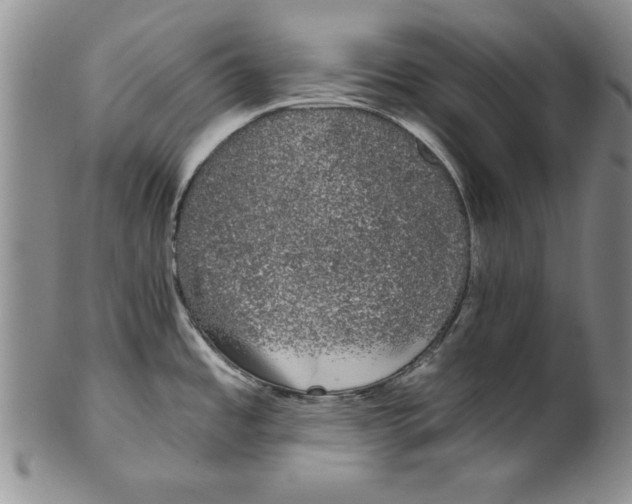 X0000101981485200808081602