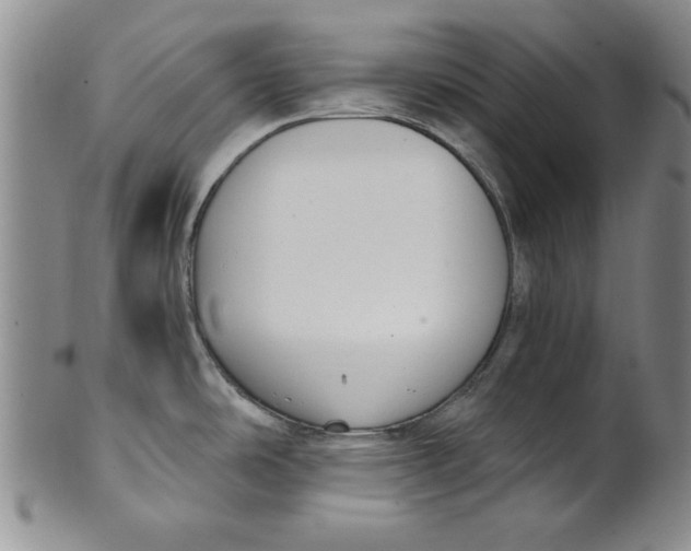 X0000101981486200808081602